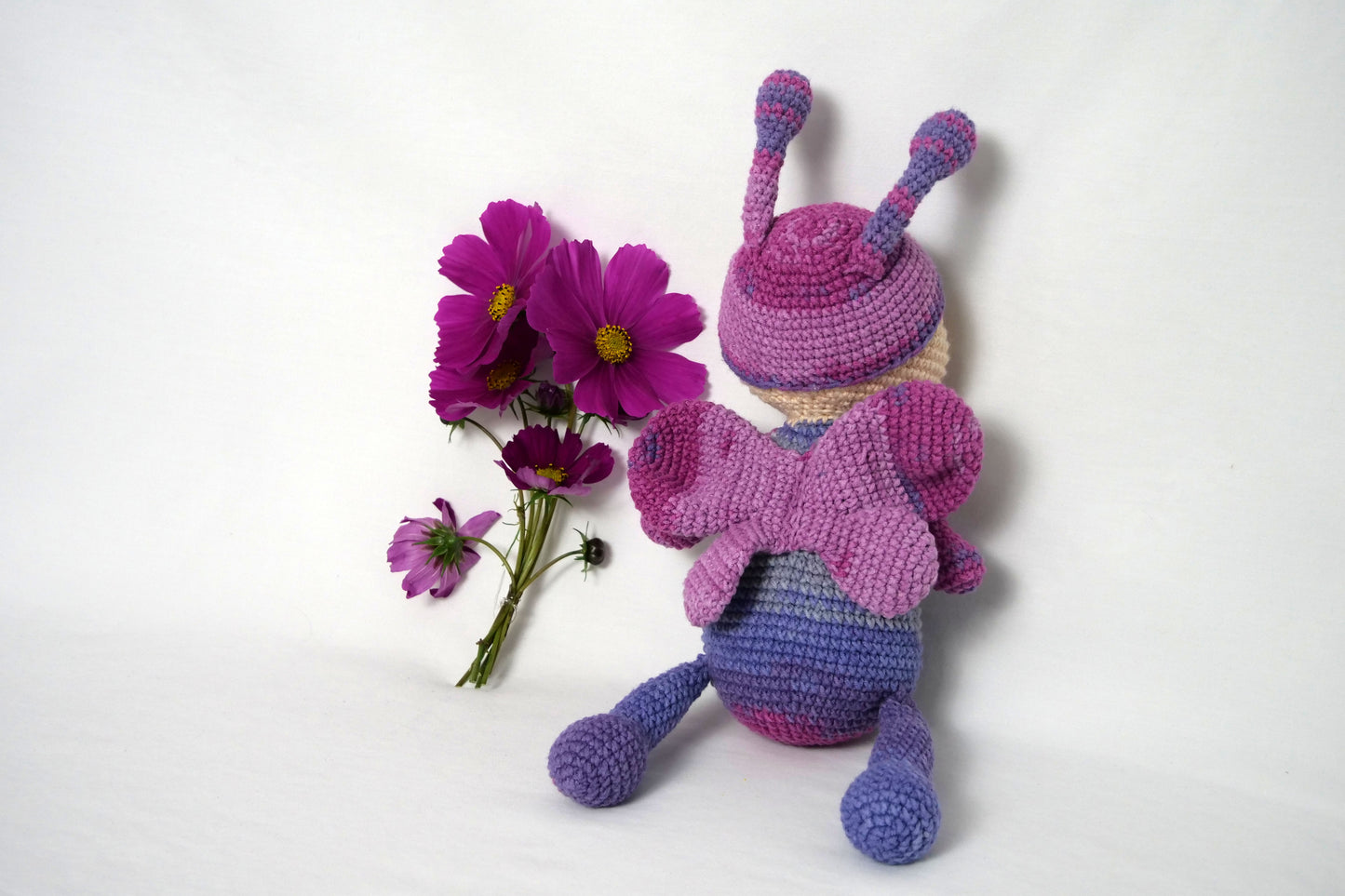 Purple ladybug